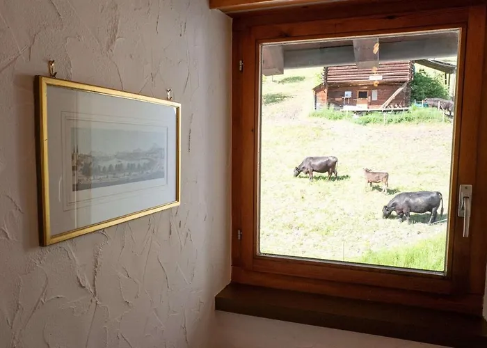 Lovely In A Sunny Village